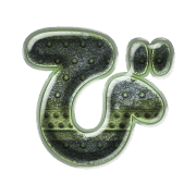072