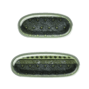 102