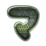111
