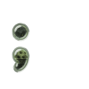 243