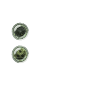 244