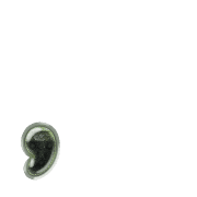 245