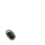 256