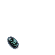 256