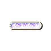 251