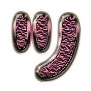 098