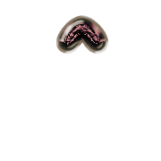 231