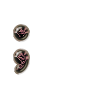 243