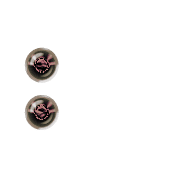 244