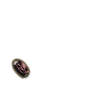 256