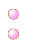244