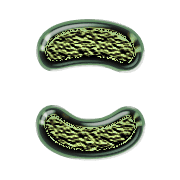 010