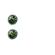 244