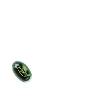 256