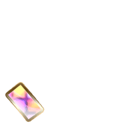256