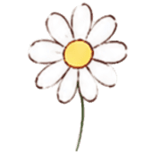 004