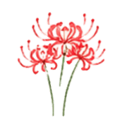 008