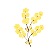 018
