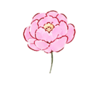 019