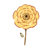 029