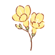 036