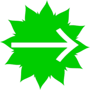 262