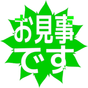 276