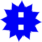 244