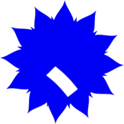 256