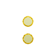 244