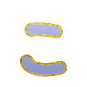010