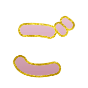 060