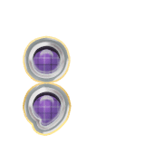 243