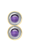 244