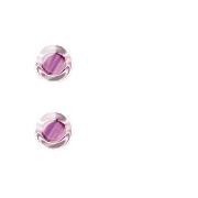 244