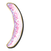 235