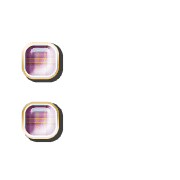 244