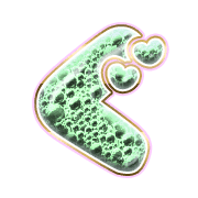 058