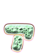 127