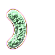 235