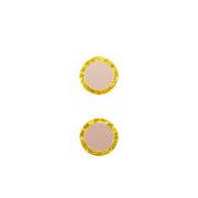 244