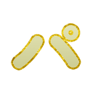 156