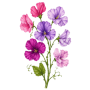 006
