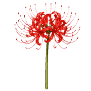 022