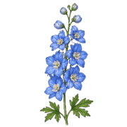 024