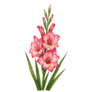 025