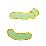 060