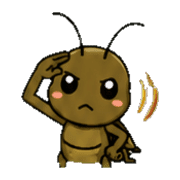 013