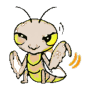005