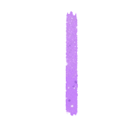081
